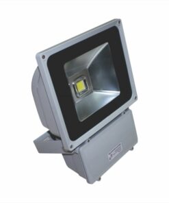 Đèn led pha không thấm nước POLH8065 Paragon