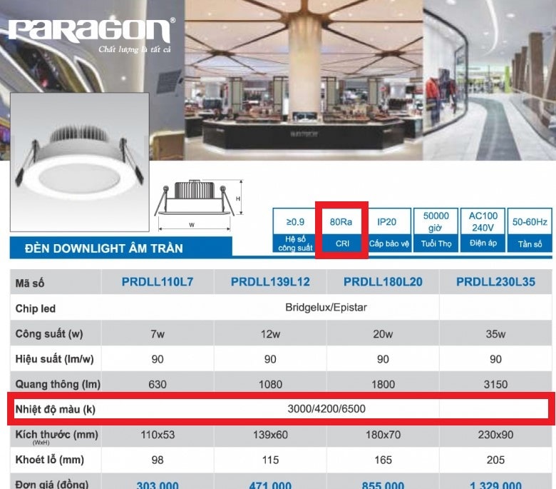 den downlight am tran paragon1