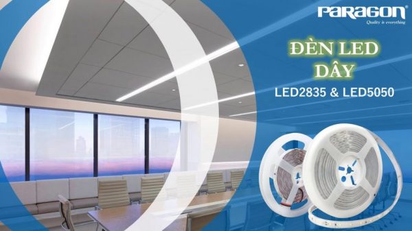 den led day paragon e1610008237473