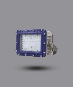 Đèn pha chống cháy nổ EEW 100W ELL601-100 Paragon