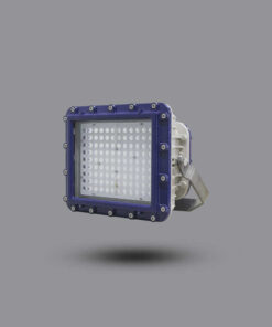 Đèn pha chống cháy nổ EEW 150W ELL601-150 Paragon