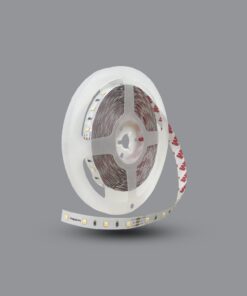 Đèn led dây đổi màu LED2835/TW Paragon
