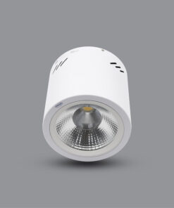 Đèn led ốp trần gắn nổi PSDOO132L10 10W Paragon