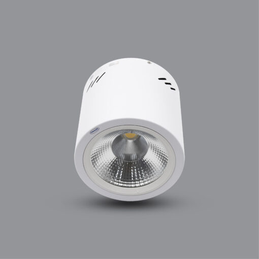 Den LED Downlight 10W gan noi PSDOO132L10