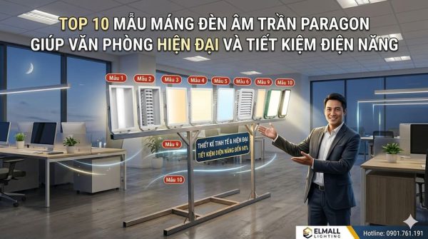 top 10 den led am tran paragon